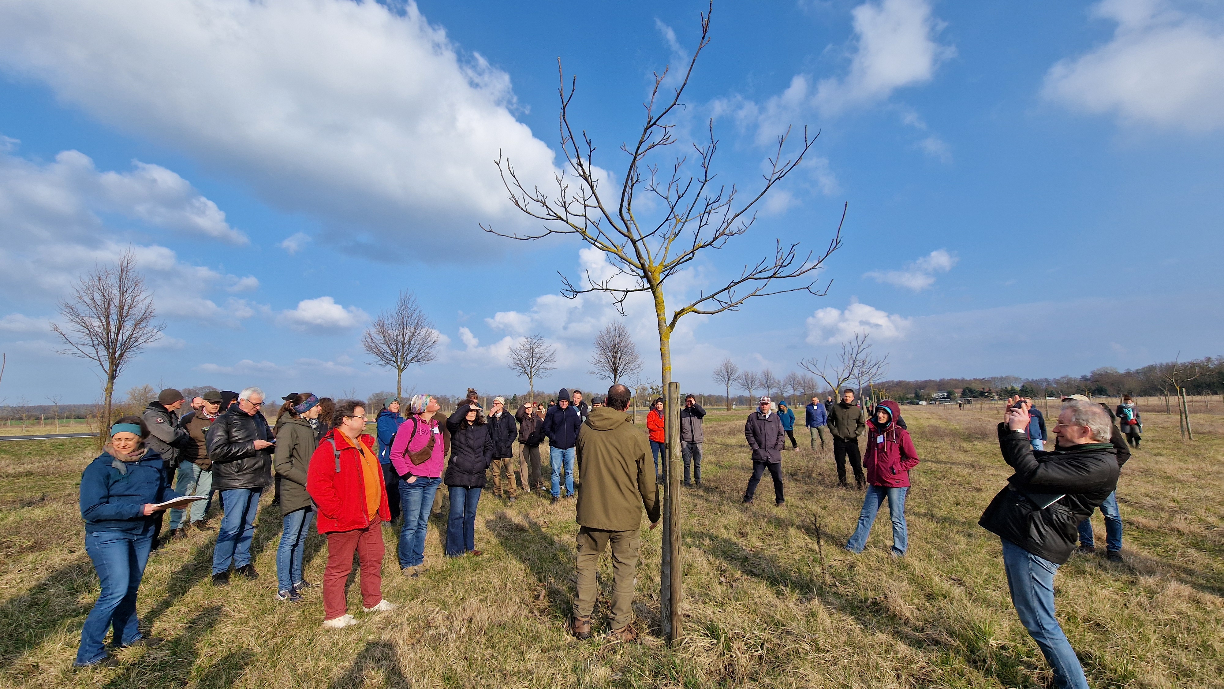 Bei Magdeburg wachsne Tausende Walnussbäume für Karls.